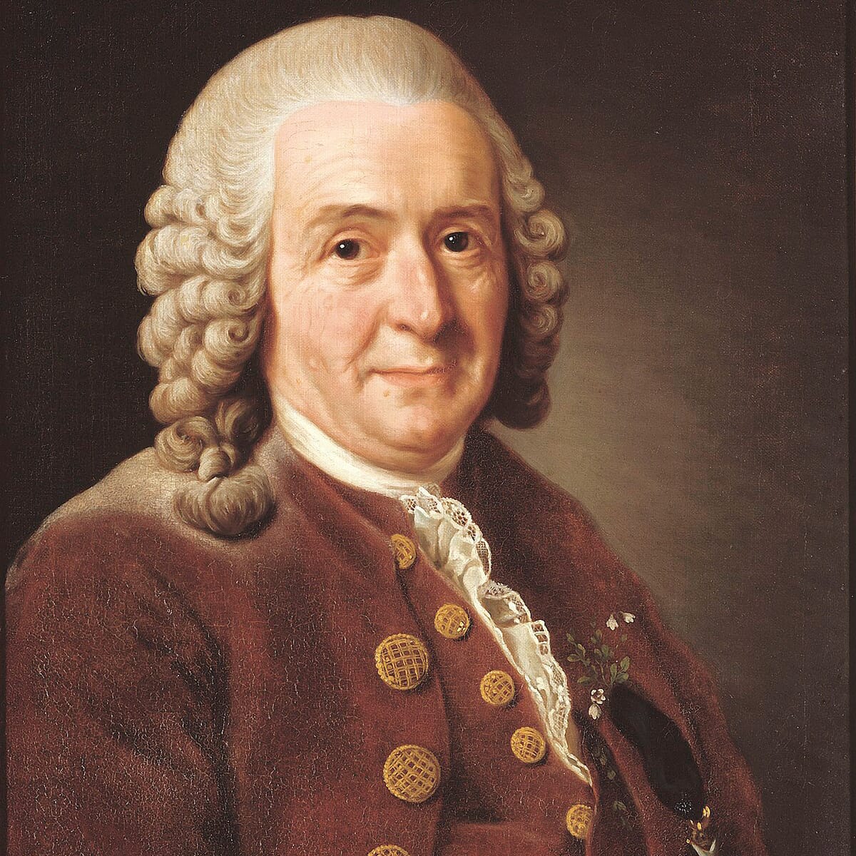 CARL LINNAEUS