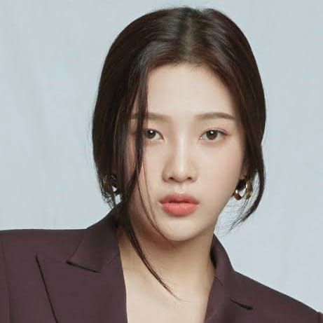 JOY RED VELVET